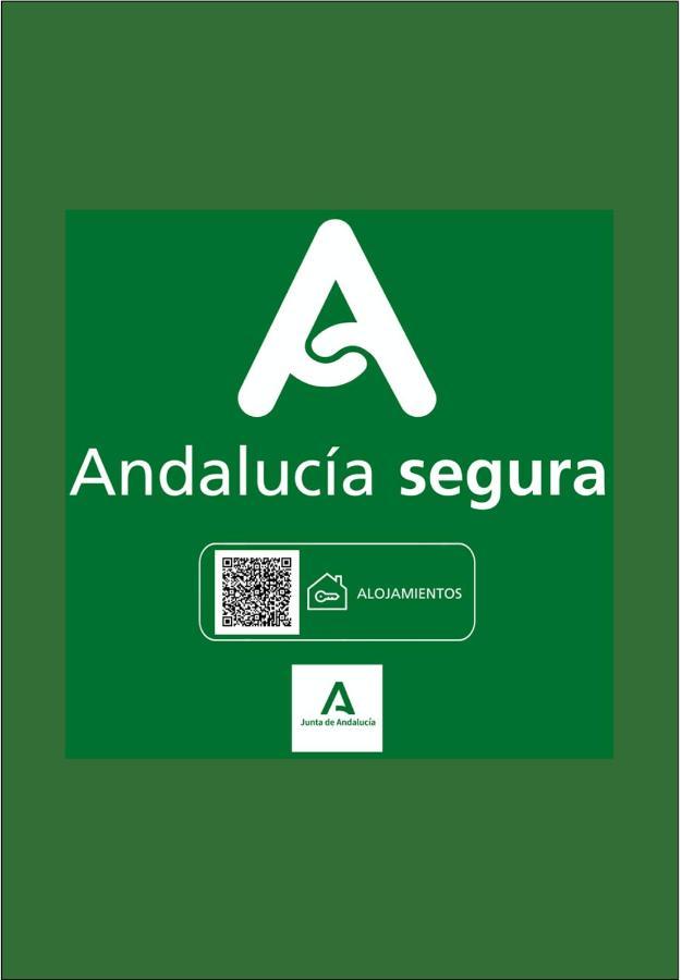 Holidays2Malaga Terraza & Junto Puerto Deportivo מראה חיצוני תמונה